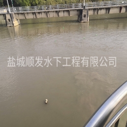 福建水下攝影